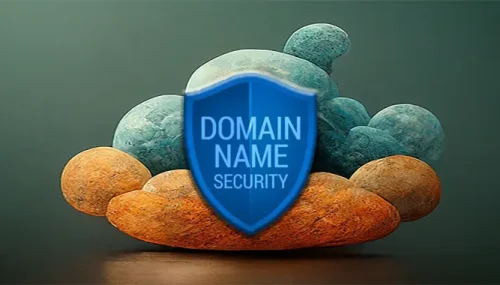 How to Improve Your Domain Name Security?
